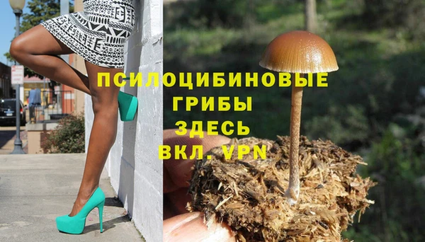 ECSTASY Баксан